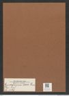 Eunotogramma debile Grun. (de-Toni-Nr.: Genus 128, Species 3569) Zeichnungen Sammlung Grunow Mappe 03736 (Herbarium_W_Grunow_drawings_Folder_03736)